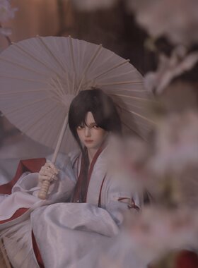 bjd容国王子TD男68叔3分sd娃人形裸娃Telesthesiadoll