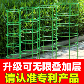 植物支撑杆园艺支架花架爬藤支架室内阳台户外绿萝蟹爪兰固定支架