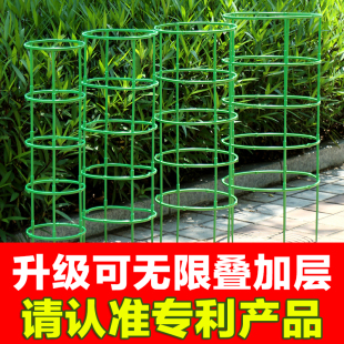 植物支撑杆园艺支架花架爬藤支架室内阳台户外绿萝蟹爪兰固定支架