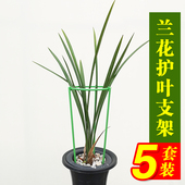 双层兰花护叶专用支架蕙兰莲瓣花架兰花护叶圈爬藤架子花支架攀爬