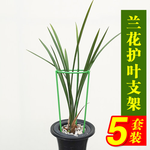 双层兰花专用莲瓣攀爬支架