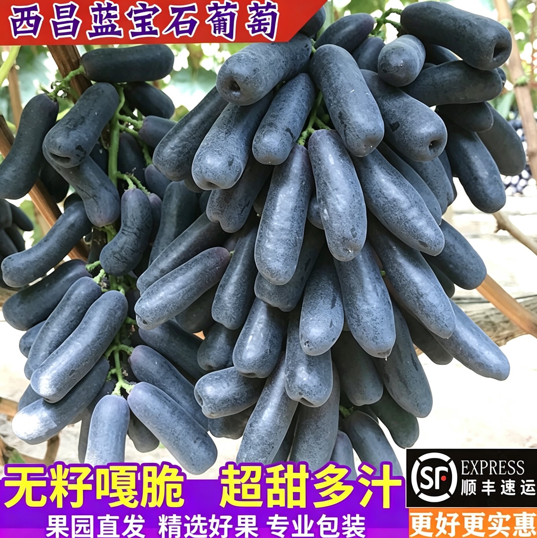 2024年度值得推荐金手指葡萄礼盒