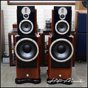 国货精品CAV HIFI发烧分体式 丽声 EXIII 烤漆落地音箱 二手原装