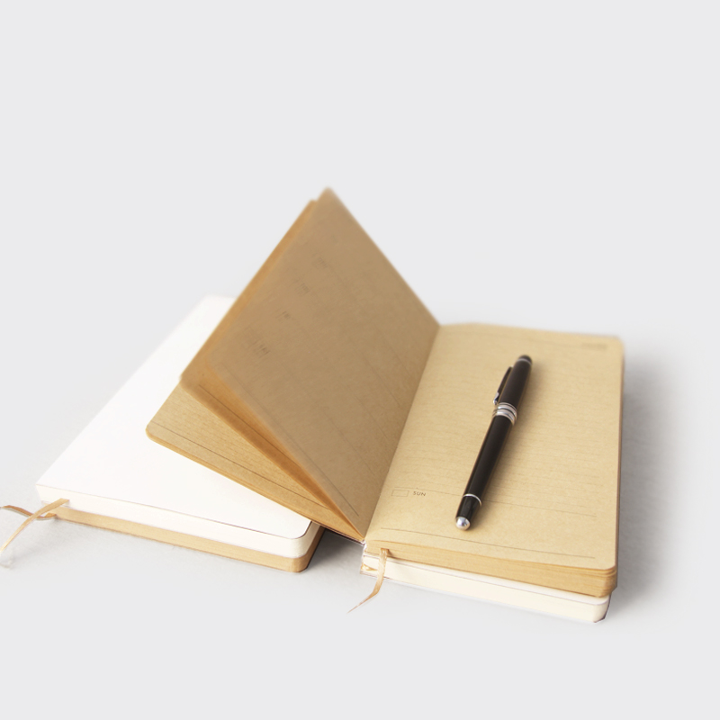 买一送一多功能替换芯日记本