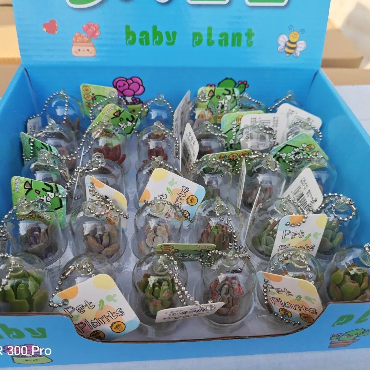 创意多肉植物挂件多肉宝宝随身小盆栽学生礼品