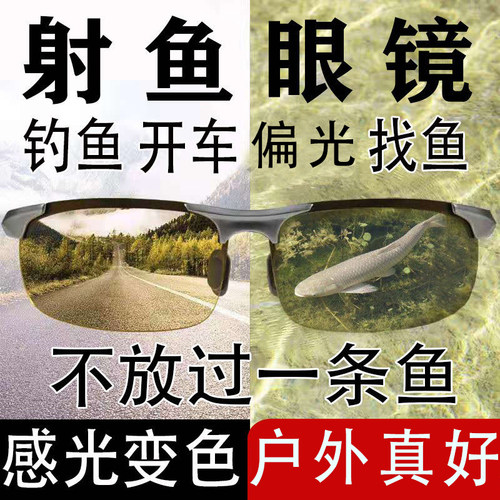 墨镜钓鱼变色日夜两用偏光镜
