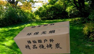 烧烤碳果木炭火锅碳环保无烟超耐烧木炭