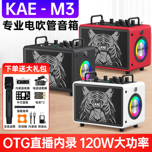 英国KAE-M3虎头音箱乐器专用