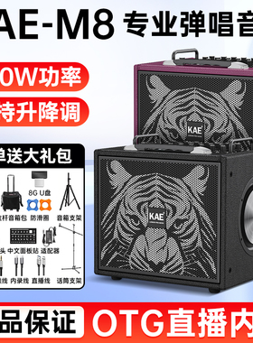 KAE M8音箱吉他电吹管萨克斯户外弹唱K歌内录乐器专业舞台音响