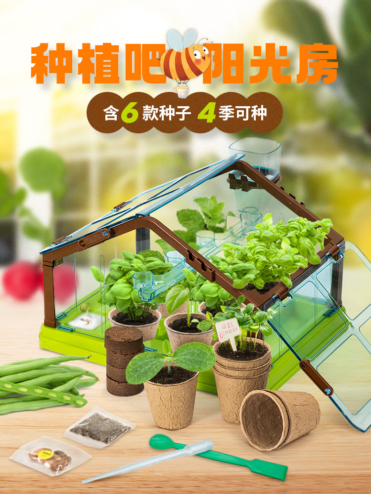 科答鸭迷你阳光种植房玩具儿童植物科学实验小学生手工diy材料包