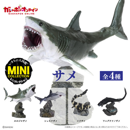 MINI生物大图鉴鲨鱼大白鲨