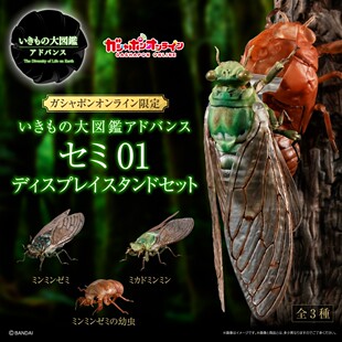 包邮 现货 万代 扭蛋 生物大图鉴 蝉 知了 鸣鸣蝉