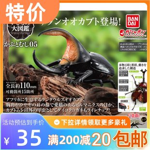 万代 扭蛋 大兜虫 包邮 大王花金龟独角仙 现货 甲虫 生物大图鉴