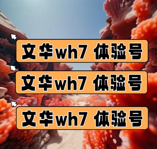文华账号wh7/wh8/wh9体验