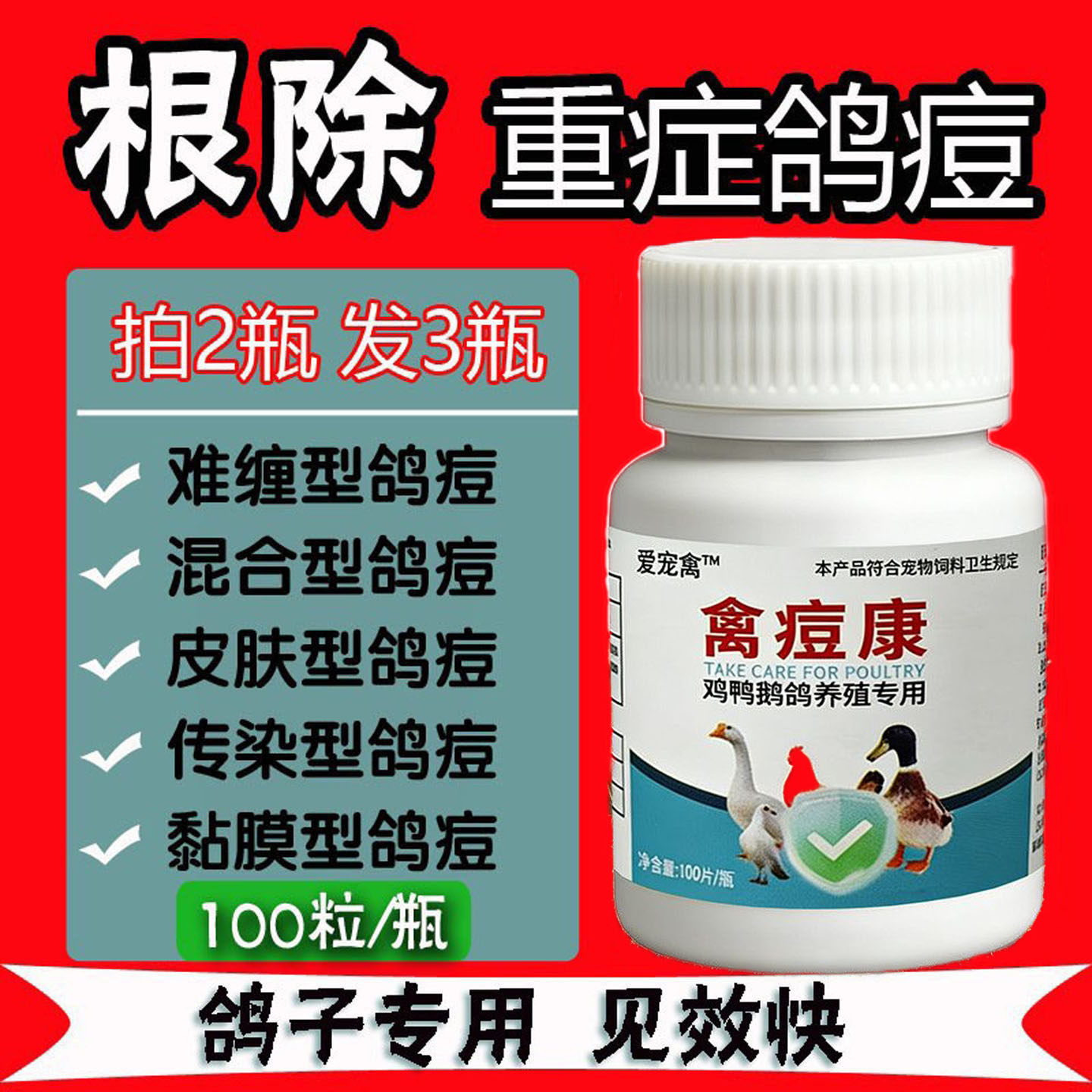 鸽痘专用药鸽子鸽痘灵疫苗鸽豆清鸽痘净鸟痘鸽痘药鸽子专用药大全