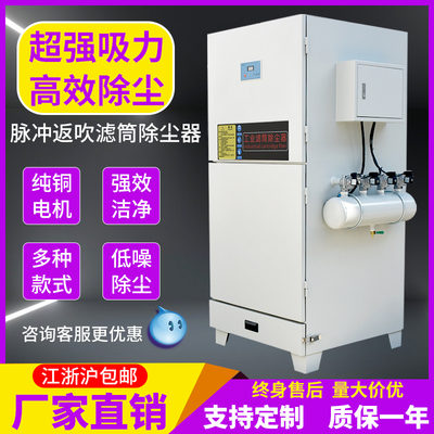 不锈钢脉冲布袋滤筒除尘器
