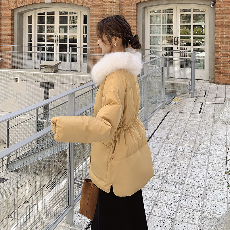 【档口现货】两片式狐狸毛领 90白鸭绒羽绒服288A-922-P315-K458图片