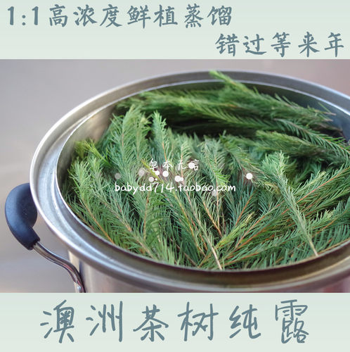 芳疗护肤高浓度头道饱和澳洲茶树纯露 230MLsha菌qu痘痘皮