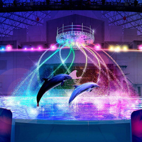 横滨八景岛海岛乐园 一日通票 夜场票 水族馆单独票 游乐场票