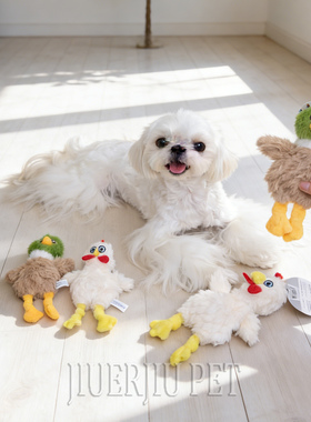 飞奇fetch狗玩具磨牙耐咬发声自嗨解闷神器博美比熊小型幼犬用品