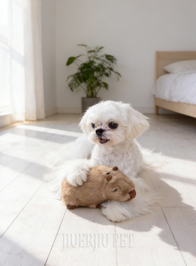 飞奇Fetch卡皮巴拉仿真毛绒BB叫狗玩具安抚陪伴治愈解闷自嗨玩偶