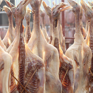 正宗特产洪湖板鸭香腊鸭1只礼品老曹家家瑤阳光腌制650克真空礼盒