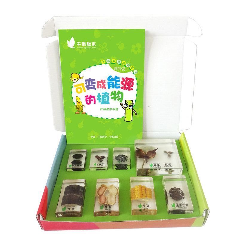 种子的旅行可变成能源的植物米饭是怎么来的儿童自然科学实验标本