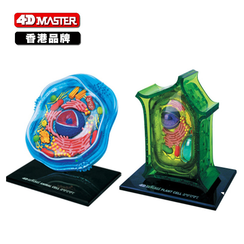 4D master 植物动物细胞模型 塑料拼装积木 儿童创意玩具科学早教