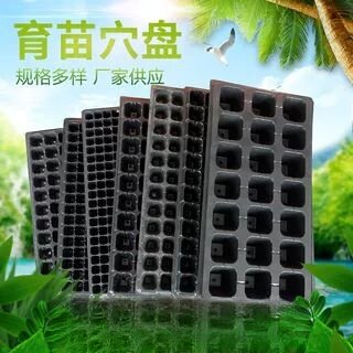 大棚穴盘芽苗菜育苗盆托盘加厚林木塑料盒蔬菜瓜果草莓种植钵包邮