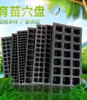 大棚穴盘芽苗菜厚塑料盒草莓种植