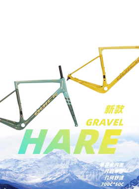新款QUICK快客 HARE 瓜车 GRAVEL全内走公路越野碟刹碳纤维车架