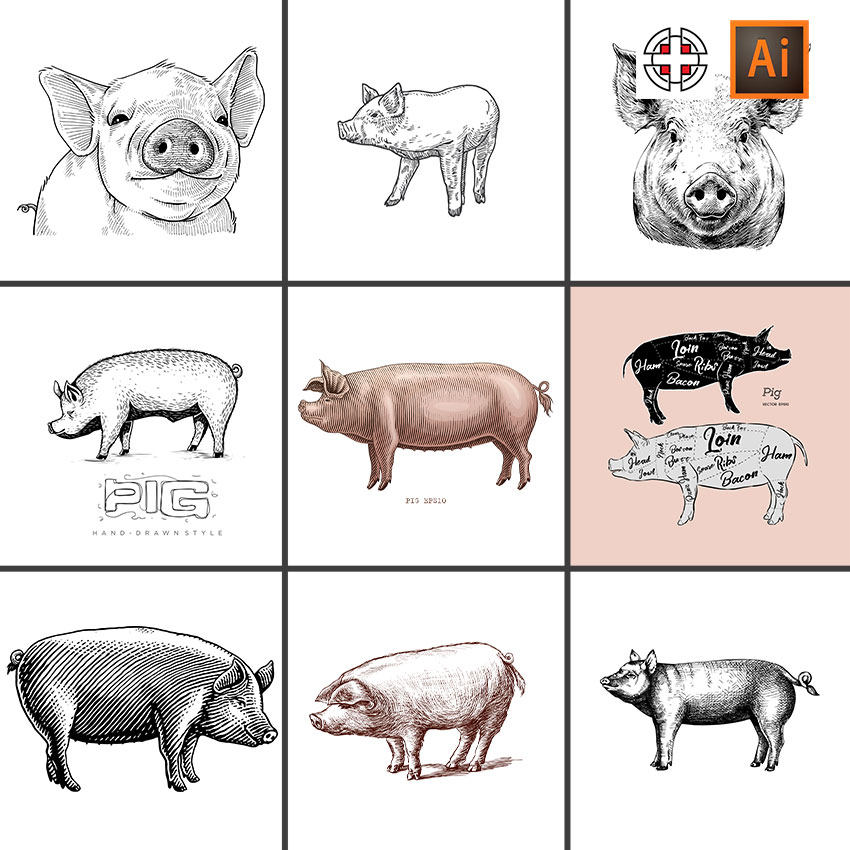 猪素描速写线稿草图插图插画ai矢量设计素材