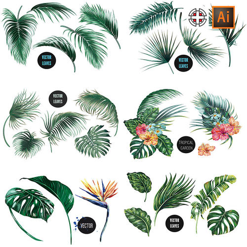 手绘热带植物龟背竹棕榈叶花卉插画AI矢量素材