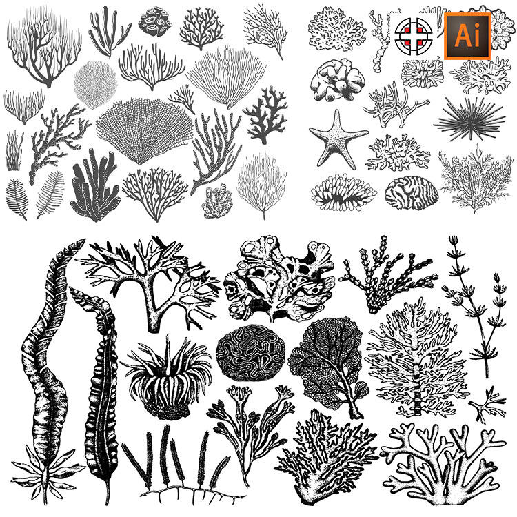 海洋植物生物海草珊瑚黑白线稿线描素描草图背景ai矢量设计素材
