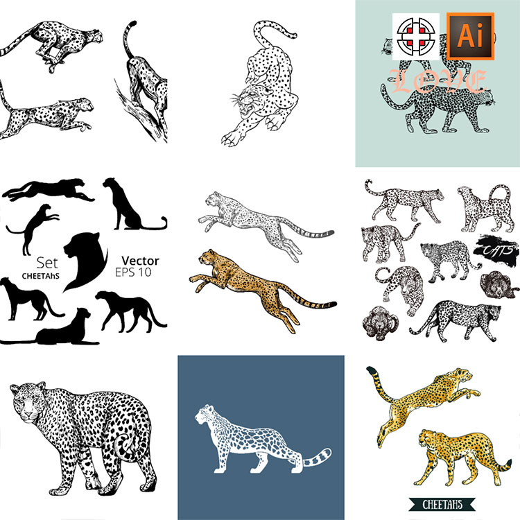 豹子黑白剪影线稿线条描边剪影插图雕刻图标AI矢量设计素材