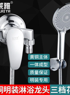 恒莱雅明装全铜冷热淋浴龙头