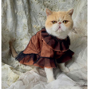 宠物服装 Tai 系列集合 Peng 60%OFF