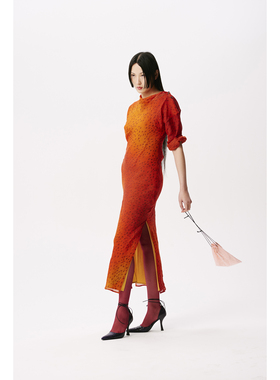 SAMUEL GUI YANG 25秋冬 WILLOW 连衣裙