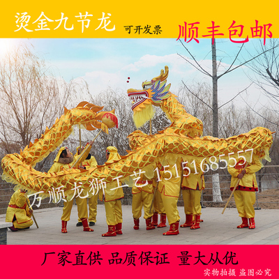 龙灯舞龙道具舞狮夜光龙烫金龙龙狮服装灯光龙精品10人龙