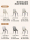 Lin's home dining chair легкий роскошный домашний стул высокого класса со спинкой, ресторанный обеденный стул, новинка 2025 года, Lin's wood industry mini 4