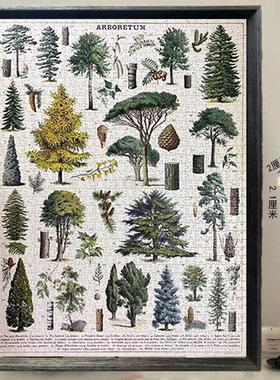 7055实木拼图框挂墙Cavallini美式复古植物园花卉1000片500片裱框