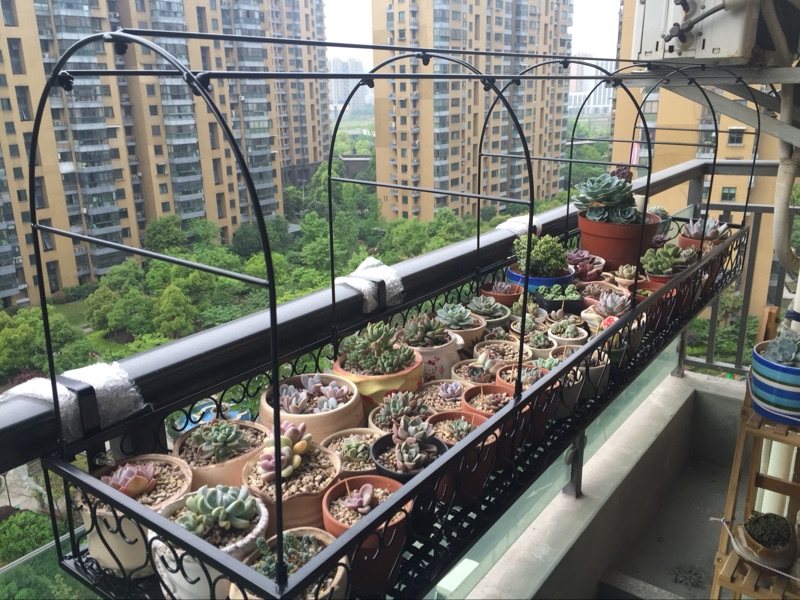 阳台栏杆铁艺花架悬挂式多肉防护栏雨棚花盆架子防雨防冻暖棚暖房,住宅家具,花架/花几,淘宝优惠券,粉丝福利购,淘宝优惠卷
