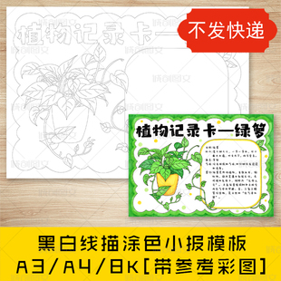 cc866绿萝植物记录卡黑白线图电子版植物名片自然笔记小报模板