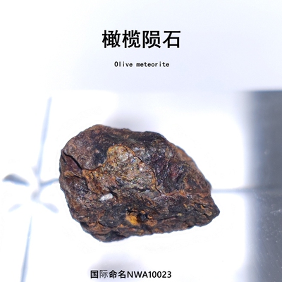 摩洛哥NWA10023橄榄陨石原石标本