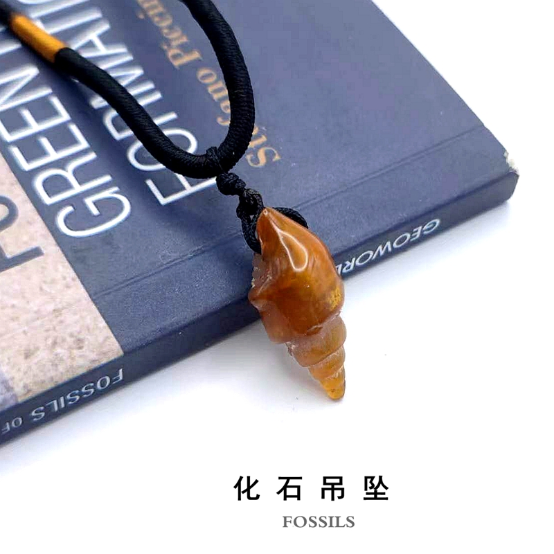 摩洛哥古生物化石棒石螺化石玉化螺化石玛瑙螺化石腹足化石教学标