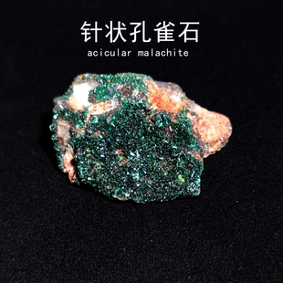 摩洛哥针状孔雀石天然原石猫矿方铅矿绿色矿共生矿石原石科普标本