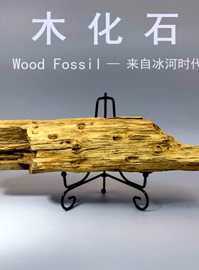 黑龙江木化石冰河时期摆件