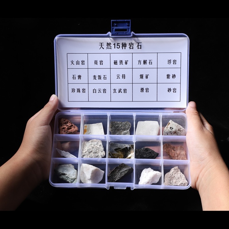 天然岩石标本组合矿石化石标本科普馈赠天然原石科普展示教学仪器