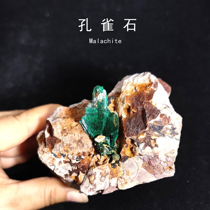 摩洛哥孔雀石猫矿物晶体矿晶天然原石头地质科普教学标本摆件收藏