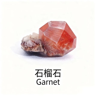 天然新疆石芬达石榴石共生矿物猫矿物晶体收藏摆件宝石头科普教学